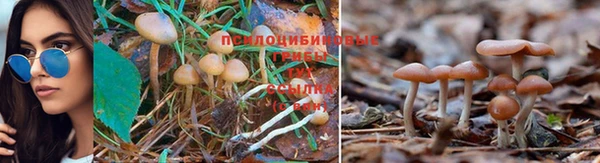 COCAINE Белокуриха