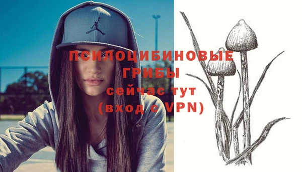скорость mdpv Бронницы